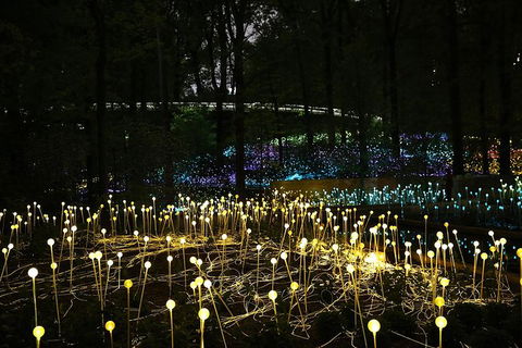 National Anzac Centre Field Of Light Panorama Pass - Hotel WA 0