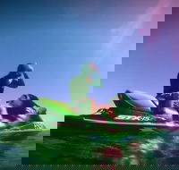 Guided Jet Ski and Snorkel Tour of Champion Bay - Hotel WA