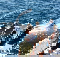 Half-Day Whale Watching Sunset Cruise from Broome - Hotel WA