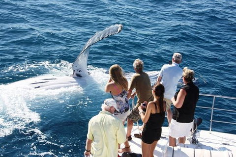 Half-Day Whale Watching Sunset Cruise From Broome - Hotel WA 2