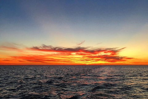 Half-Day Whale Watching Sunset Cruise From Broome - Hotel WA 8