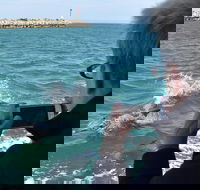 Mandurah Dolphin Island Adventure - Hotel WA