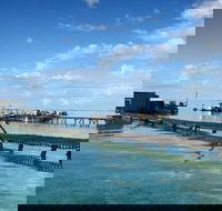 Full Day Guided Abrolhos Fly and Flipper Tour from Geraldton - Hotel WA