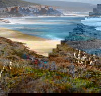 8-Day Cape to Cape Track Guided Walking Tour from Perth - Hotel WA