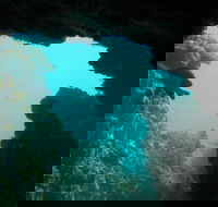 Half-Day Abrolhos Islands Shipwreck Air and Land Tour from Geraldton - Hotel WA