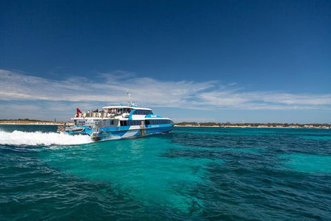 Rottnest Island Oliver Hill Train And Tunnel Day Trip From Fremantle - Hotel WA 1