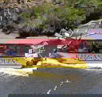 Kalgan Queen Scenic Cruises a four hour sheltered water wildlife tour daily fun. - Hotel WA