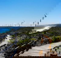 Torndirrup National Park and Bay Highlights - Hotel WA