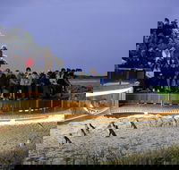 1 Day Private Phillip Island Tour VIP Charter up to 9 People - Hotel WA