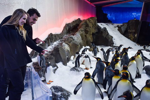 Penguin Passport At SEA LIFE Melbourne Aquarium - Hotel WA 2