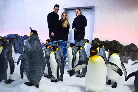 Penguin Passport At SEA LIFE Melbourne Aquarium - Hotel WA 4
