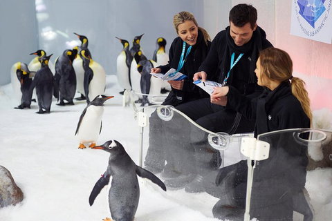 Penguin Passport At SEA LIFE Melbourne Aquarium - Hotel WA 7