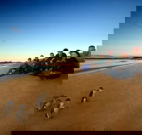 Phillip Island Ultimate Penguin Eco Tour or Skybox Experience - Hotel WA