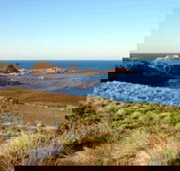 Phillip Island Walking  Bird Watching Tour - Hotel WA