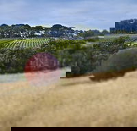 Estate to Plate Montalto Vineyard Gourmet Lunch and Wine-Tasting Tour - Hotel WA