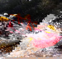 Whitewater Sports rafting on the Yarra river - Hotel WA