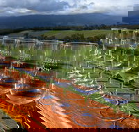 Yarra Valley Local Produce and Wine Tasting Tour - Hotel WA
