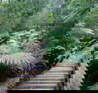 Small-group DayTour from Hobart Hastings Caves Huon Valley and Tahune AirWalk - Hotel WA