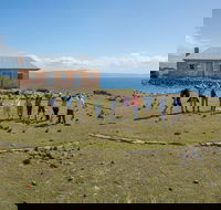 Maria Island Active Day Trip from Hobart - Hotel WA