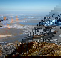 Mt Field National Park Active Day-Trip Including Bonorong and Mt Wellington - Hotel WA