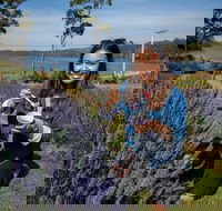 Port Arthur and Lavender Farm Active Day Tour - Hotel WA