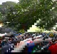 Hobart Half-Day Sightseeing Coach Tram Tour - Hotel WA