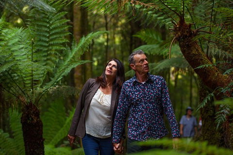 West Coast Wilderness Railway: River And Rainforest From Strahan - Hotel WA 1