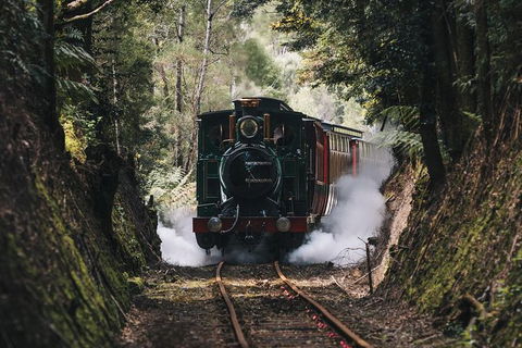 West Coast Wilderness Railway: River And Rainforest From Strahan - Hotel WA 0