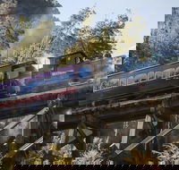 West Coast Wilderness Railway Queenstown Explorer from Strahan - Hotel WA