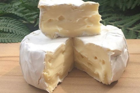 A Sommelier Guided Tour: Thursday Afternoon Wine Gin Cheese & Cocktails - Hotel WA 6