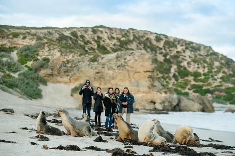 Small-Group Kangaroo Island 4WD Tour From Adelaide - Hotel WA 2