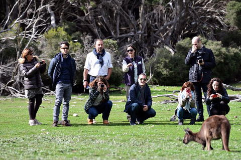 Small-Group Kangaroo Island 4WD Tour From Adelaide - Hotel WA 3