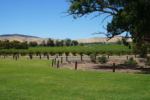 Barossa Valley With Hahndorf Tour From Adelaide - Hotel WA 3