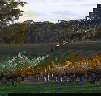 Barossa Valley with Hahndorf Tour from Adelaide - Hotel WA