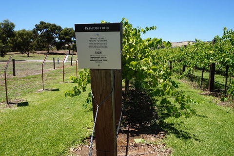 Barossa Valley With Hahndorf Tour From Adelaide - Hotel WA 5