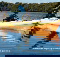 Adelaide Dolphin Sanctuary and Ships Graveyard Kayak Tour - Hotel WA