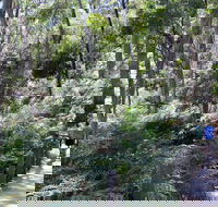 Self-Guided Waterfall Gully to Mount Lofty Hike from Adelaide - Hotel WA