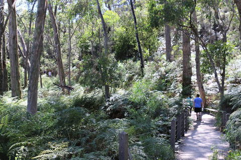 Self-Guided Waterfall Gully To Mount Lofty Hike From Adelaide - Hotel WA 0