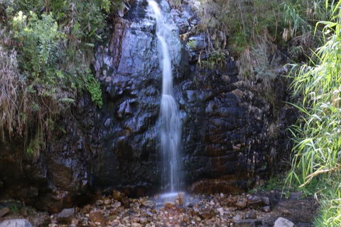 Self-Guided Waterfall Gully To Mount Lofty Hike From Adelaide - Hotel WA 2