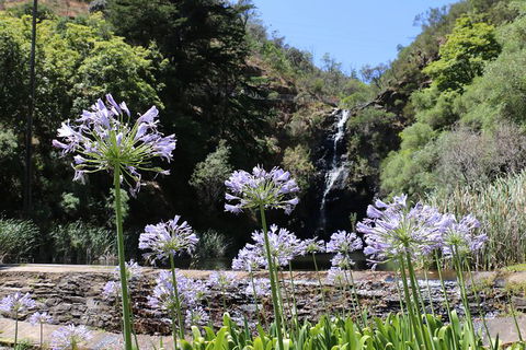 Self-Guided Waterfall Gully To Mount Lofty Hike From Adelaide - Hotel WA 6