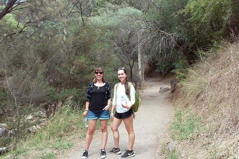 Self-Guided Waterfall Gully To Mount Lofty Hike From Adelaide - Hotel WA 4