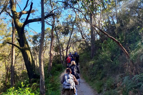 Self-Guided Waterfall Gully To Mount Lofty Hike From Adelaide - Hotel WA 7