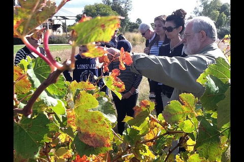 Barossa Valley Via Hahndorf ( Historical German Village ) Inc Maggie Beers Farm - Hotel WA 4