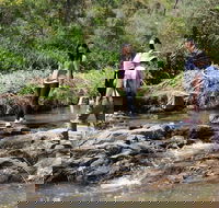 Small Group Bush Walk  BBQ with Wine Day Trip from Adelaide - Hotel WA