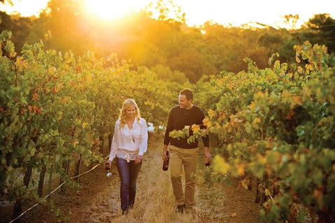 Barossa Valley Highlights From Adelaide Including Wine And Cheese Tasting - Hotel WA 11