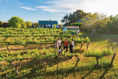 Barossa Valley Highlights From Adelaide Including Wine And Cheese Tasting - Hotel WA 14