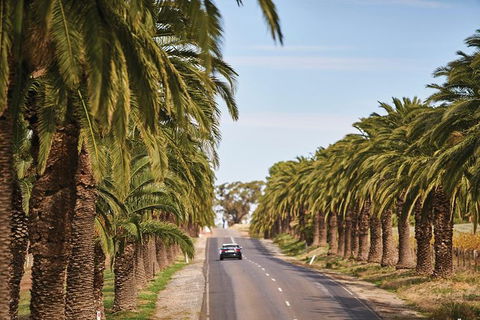 Barossa Valley Highlights From Adelaide Including Wine And Cheese Tasting - Hotel WA 3