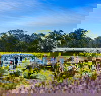 Micro-Group Barossa Valley Wine Tour from Adelaide - Hotel WA