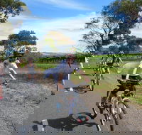 McLaren Vale Wine Tour by Bike - Hotel WA