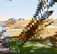 Micro-Group McLaren Vale Wine Tour from Adelaide - Hotel WA